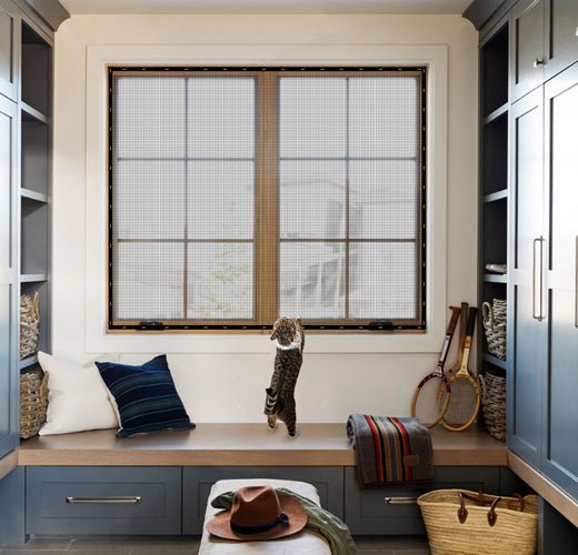Can I Use the Window Screen to keep My Cat Safe at Home? - MAGZO