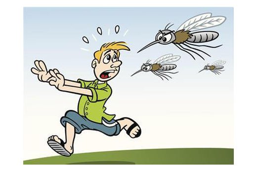 How to repel mosquitoes and protect family members？ - MAGZO